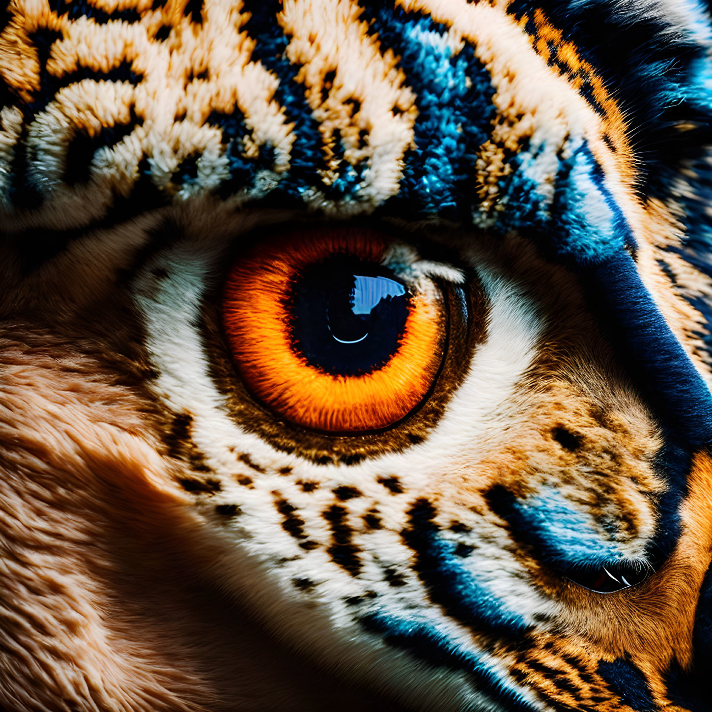 Detailed view of tiger's eye patterns and colors