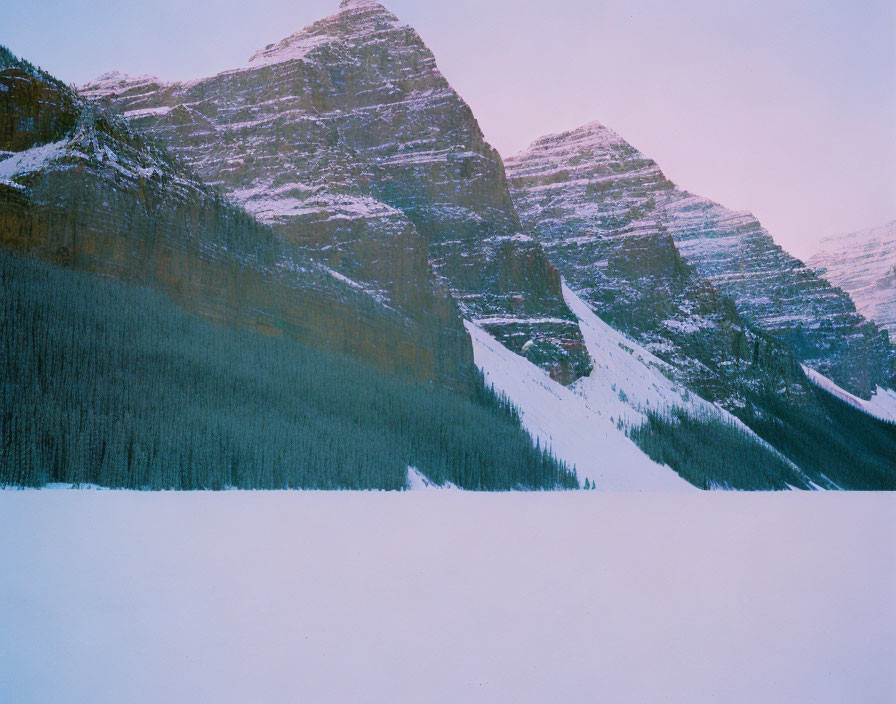 Winter forest under towering mountains in soft light