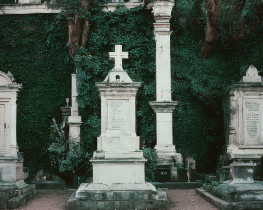 Weathered stone monuments in old cemetery with ivy-covered walls