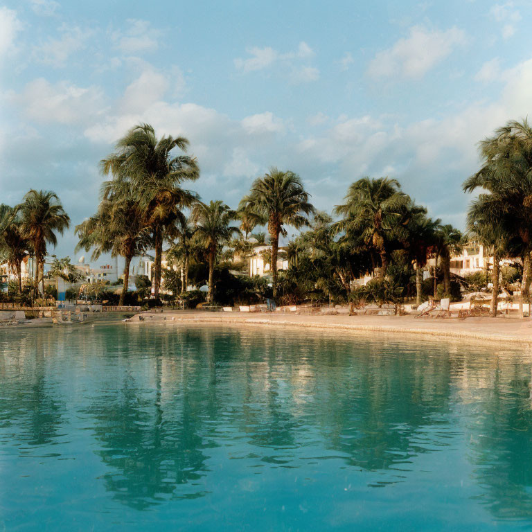 Tranquil Tropical Resort with Palm Trees and Reflective Pool