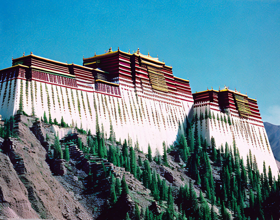 Majestic Tibetan Palace with Red and Golden Roofs on Lush Green Hillside