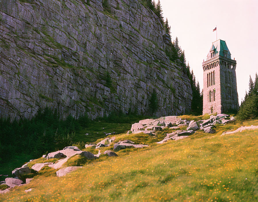 Stone tower with flag on rocky hillside surrounded by greenery and wildflowers.