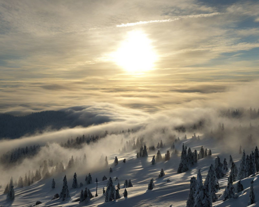 Winter sunrise over foggy snow-covered forested hills