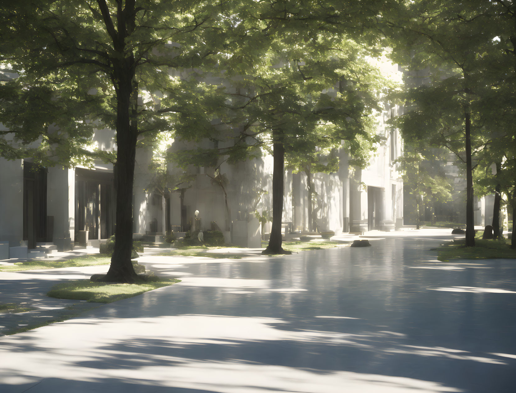 Sunlight filtering through lush trees onto a water-covered city street