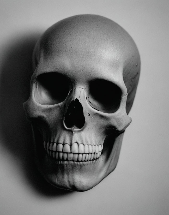 Monochrome human skull with striking eye sockets and teeth