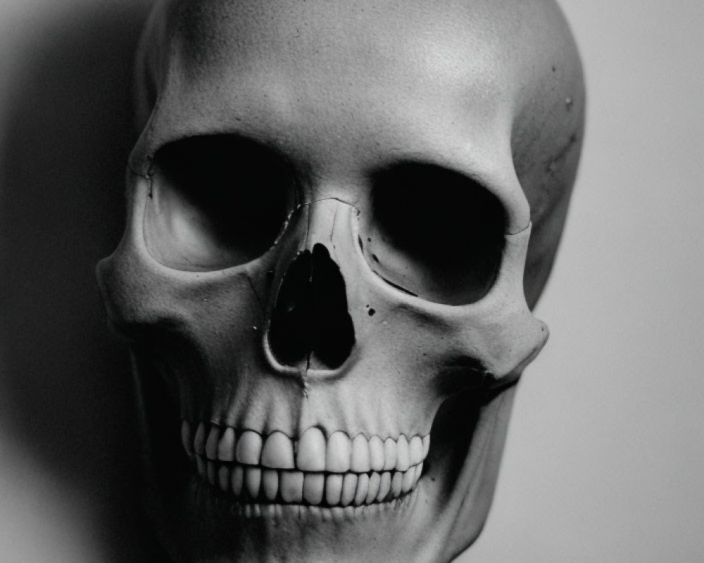 Monochrome human skull with striking eye sockets and teeth