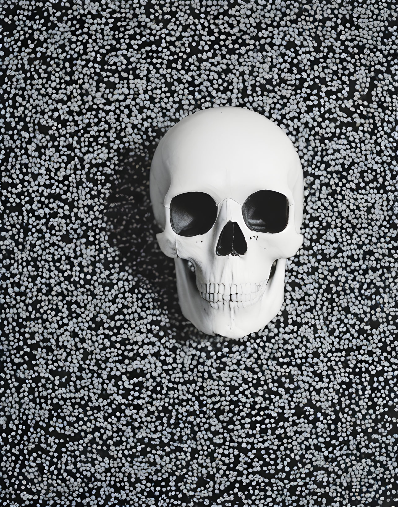 Realistic human skull replica on dark surface with white beads background