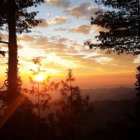 Vivid Sunset Over Silhouetted Forest Landscape