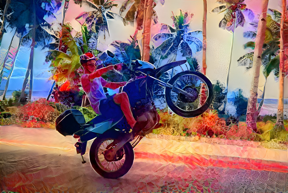 Wheelie in Color