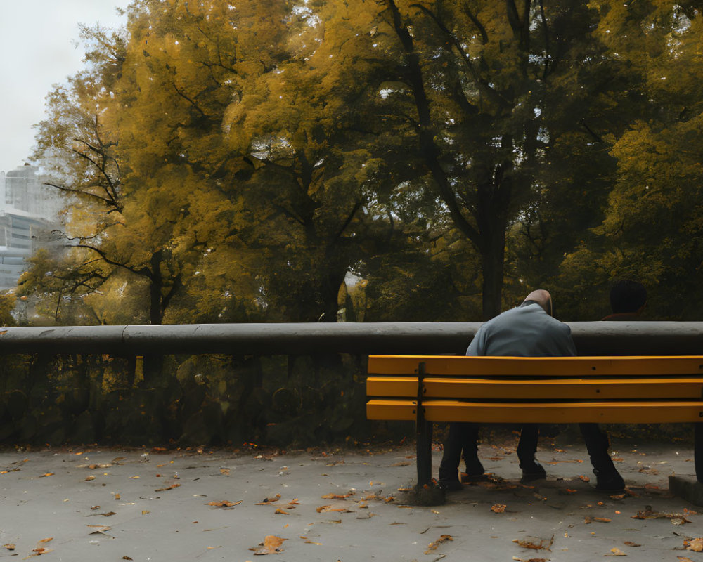 Autumn Park Scene: Two People on Yellow Bench Amid Yellow Trees