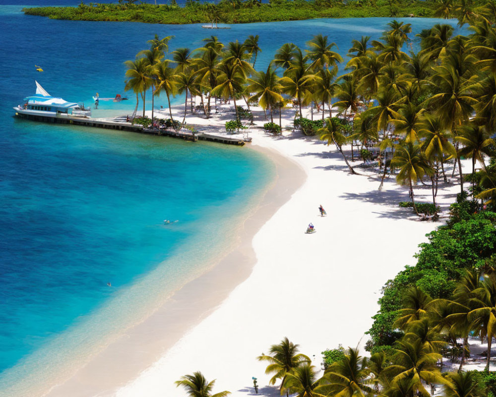 Tropical Beach Scene with Palm Trees, Clear Waters, and Seaplane