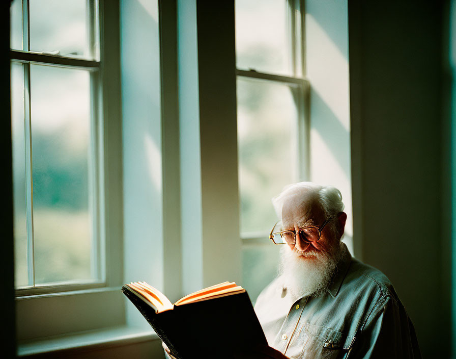 Elderly man reading book by window with warm natural light