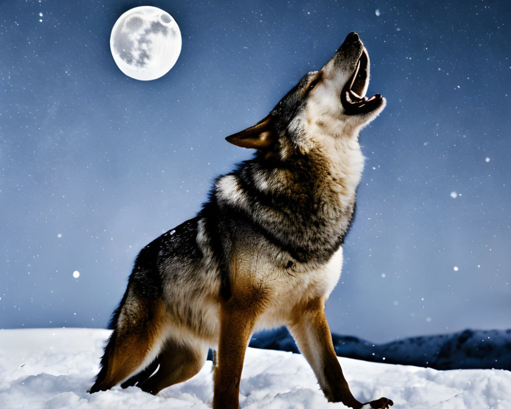 Wolf howling under full moon in snowy night landscape