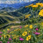 Colorful landscape with green hills, flowers, river, and snowy mountains