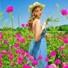 Woman in Blue Dress Surrounded by Pink Roses