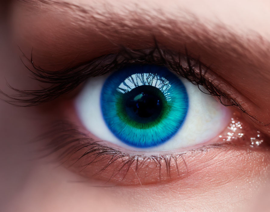 Detailed close-up of vibrant blue iris and eyelashes.