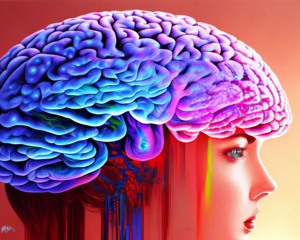 Colorful Human Profile with Textured Brain Illustration Showing Cerebral Anatomy