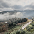 Scenic watercolor landscape of rolling hills and mountains with a villa, road, and cypress trees