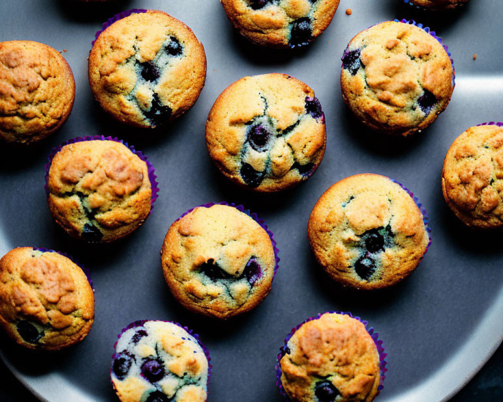 Freshly Baked Blueberry Muffins in Purple Liners on Dark Tray