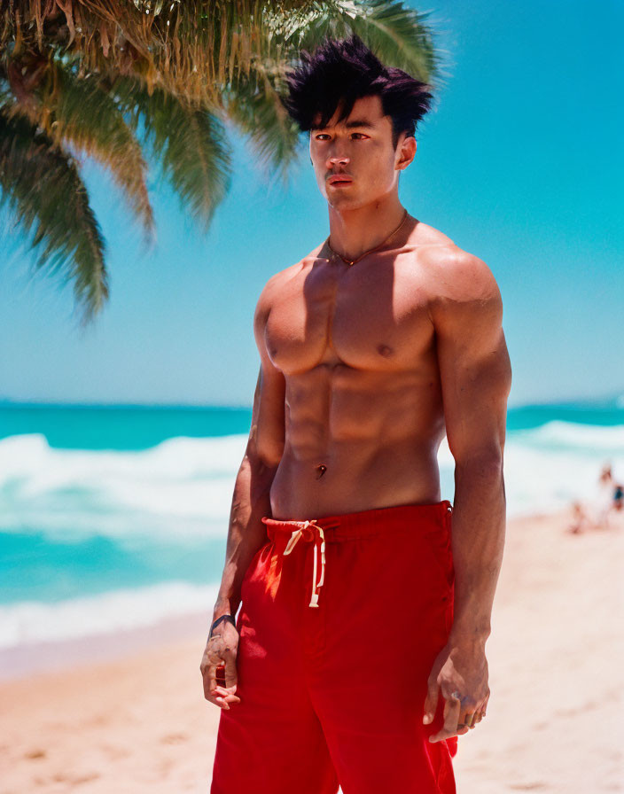 Muscular man in red pants on sunny beach with palm tree and blue waves