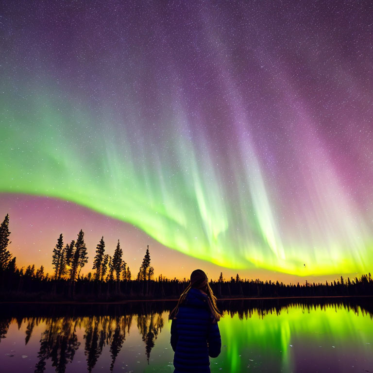 Person in Blue Jacket Admiring Aurora Borealis Over Lake