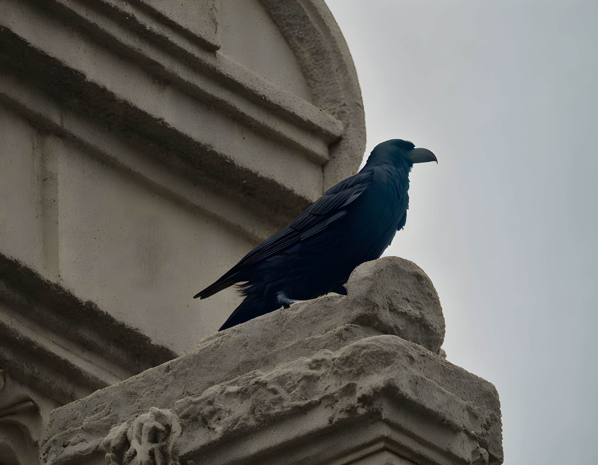 Black raven on ornate stone building under cloudy sky