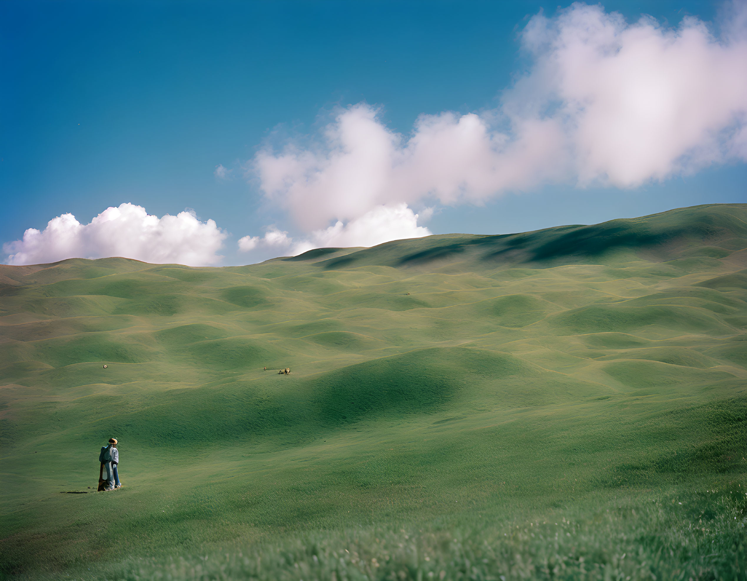 Person in Green Hills Under Blue Sky: Tranquil Scene of Vastness