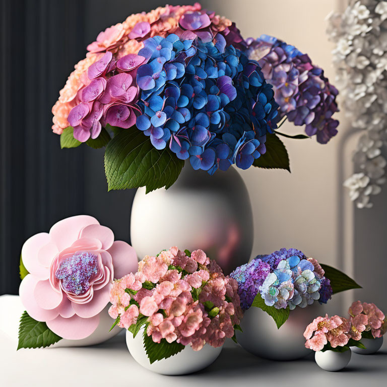 Colorful Hydrangeas in White Vases Still Life Scene on Table