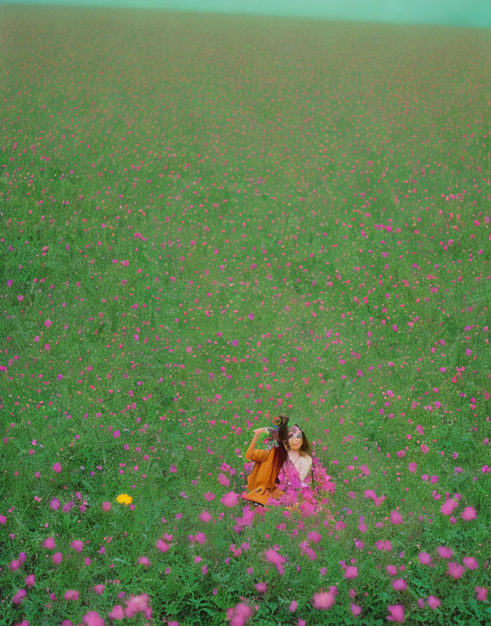 Person in Orange Dress Surrounded by Purple Flowers in Green Field