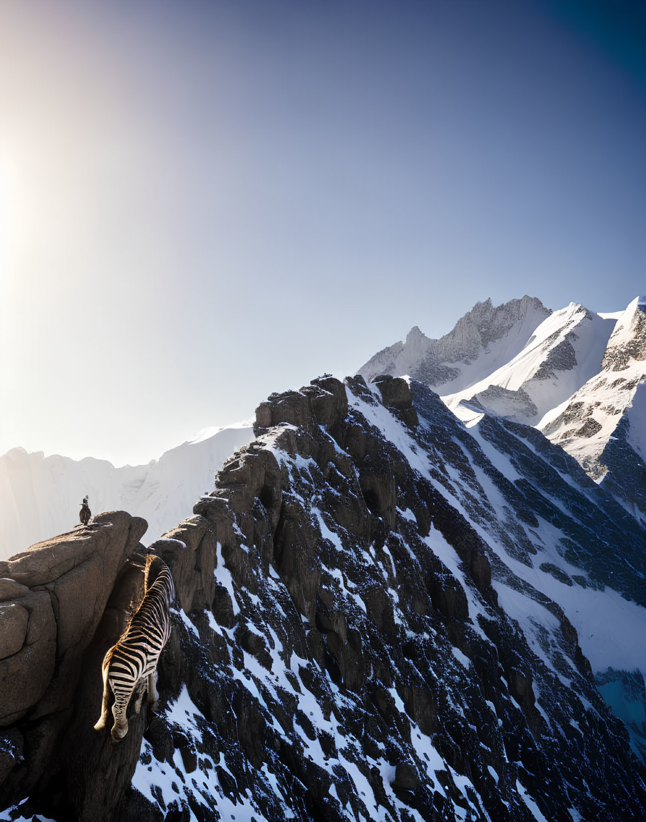 Person on mountain edge with snowy peaks and cat relaxing nearby