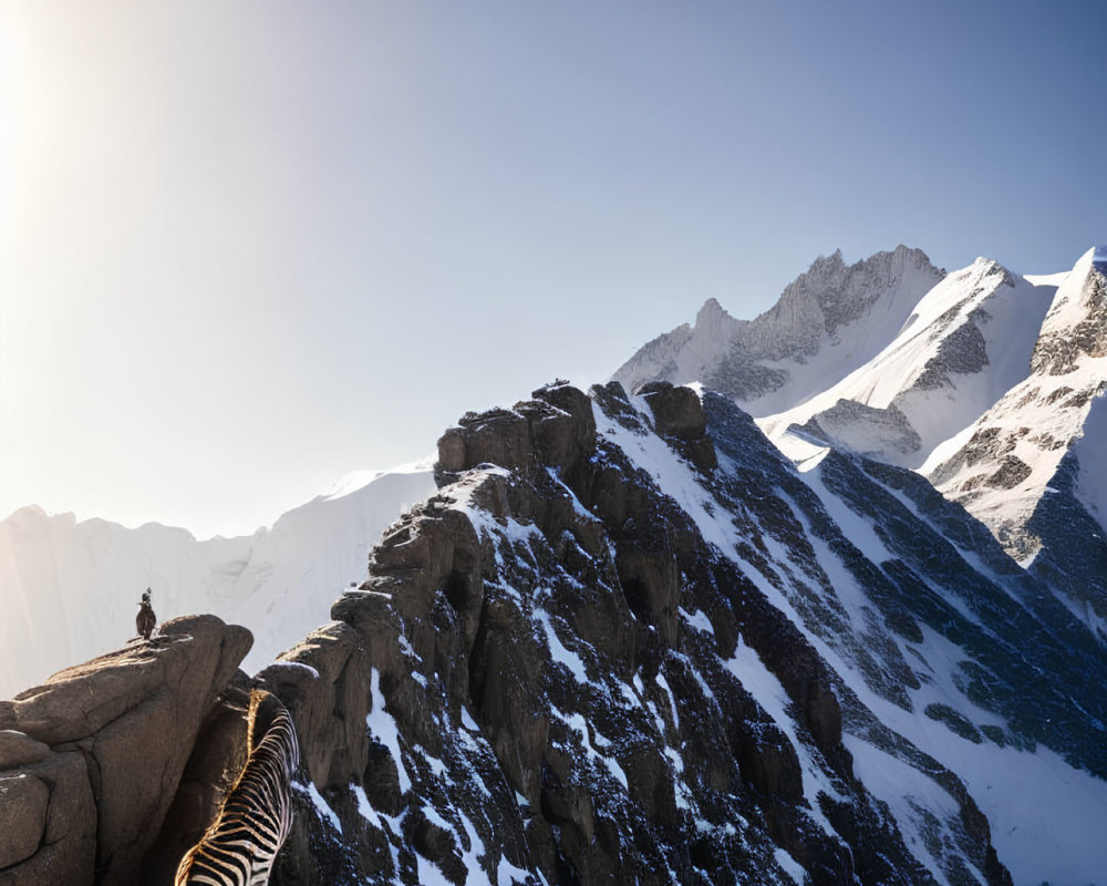 Person on mountain edge with snowy peaks and cat relaxing nearby