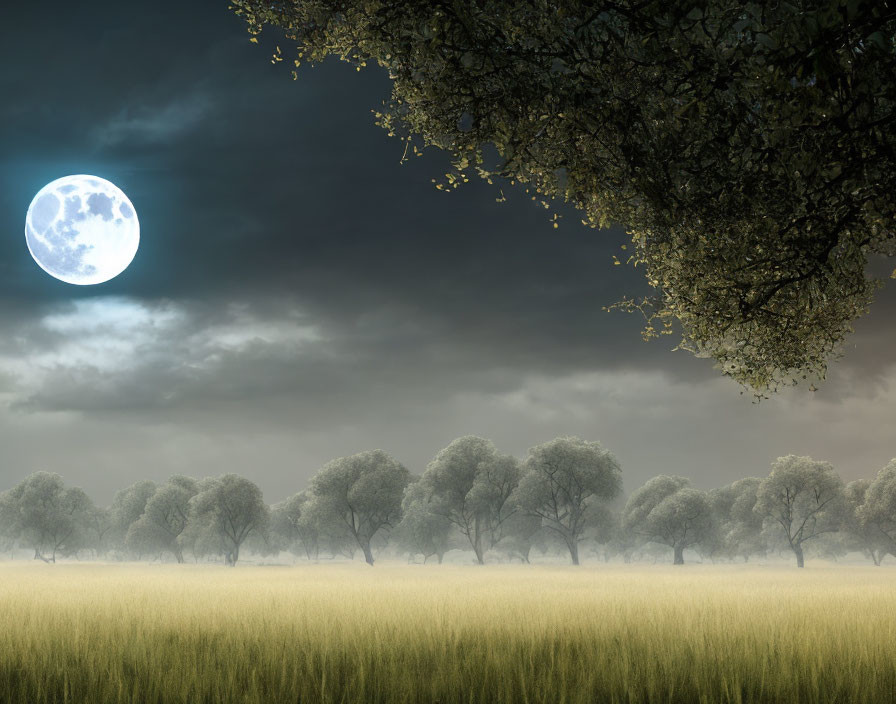 Full Moon Night Landscape with Tall Grasses and Trees