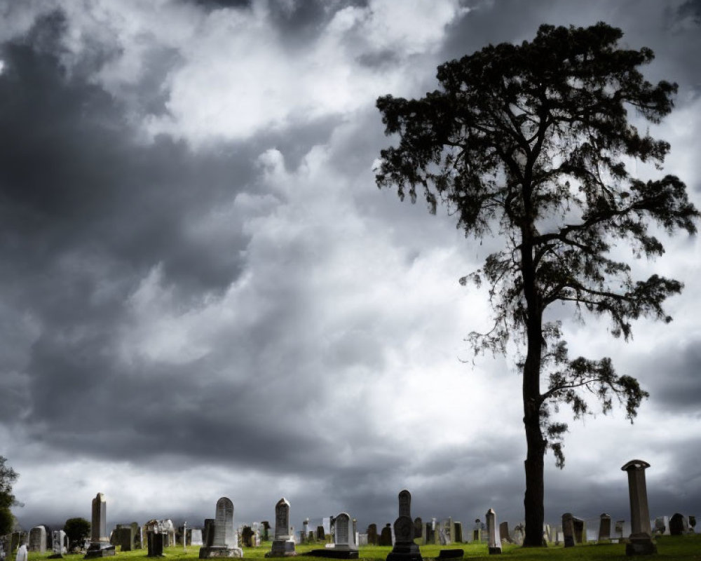 Solitary tree in graveyard under dramatic cloudy sky