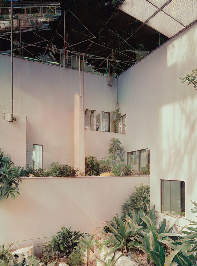 Lush Indoor Garden with Pastel Walls and Dappled Sunlight