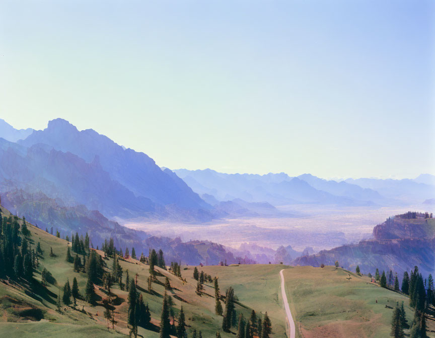 Mountain Range with Winding Road in Forest Leading to Hazy Valley