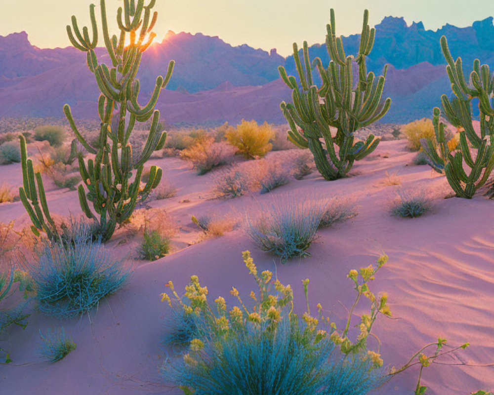 Desert sunset with tall cacti and rugged mountains in warm hues