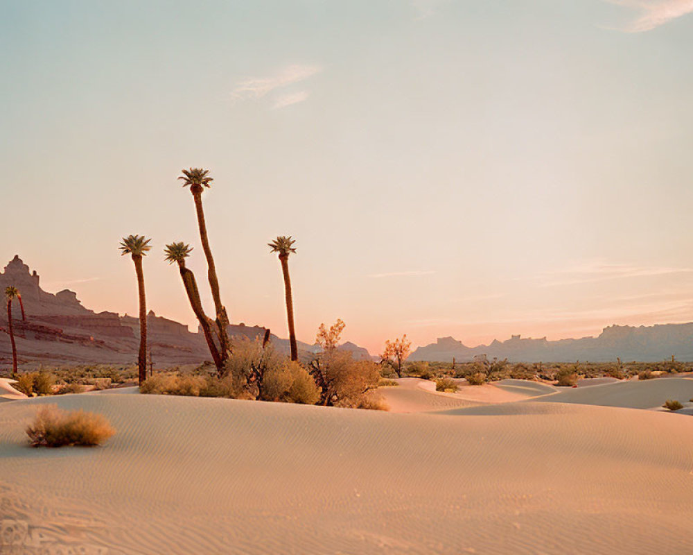 Sunset desert landscape: sand dunes, Joshua trees, mountains, orange sky.