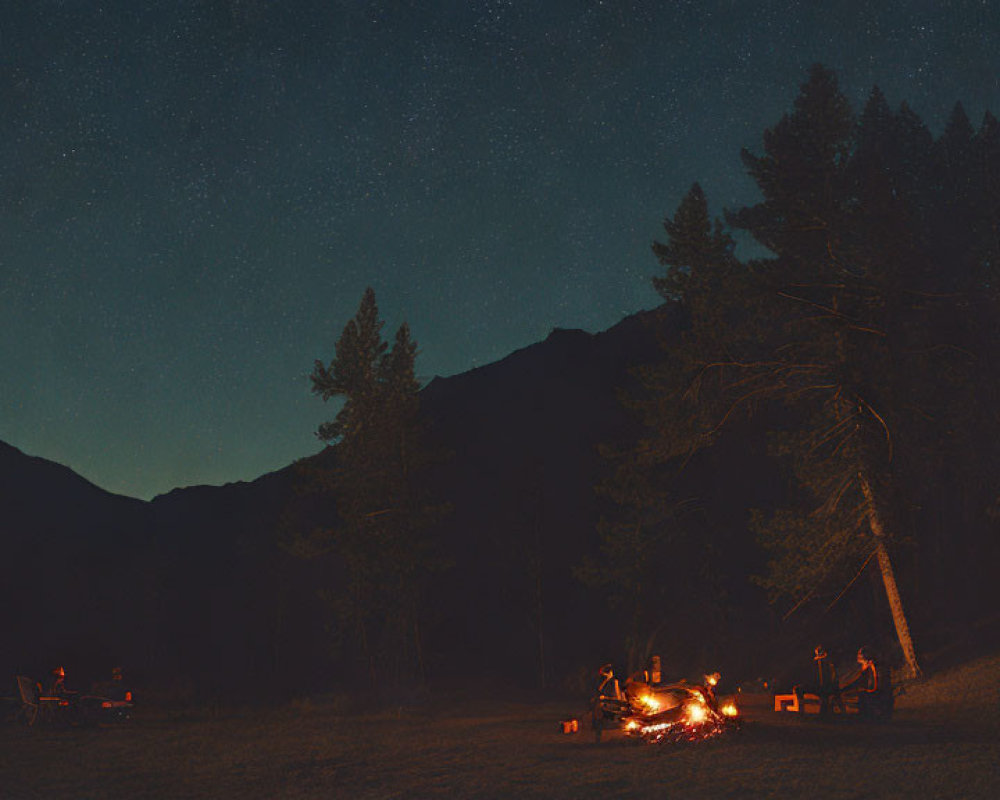 Group of People Sitting Around Campfire Under Starry Sky