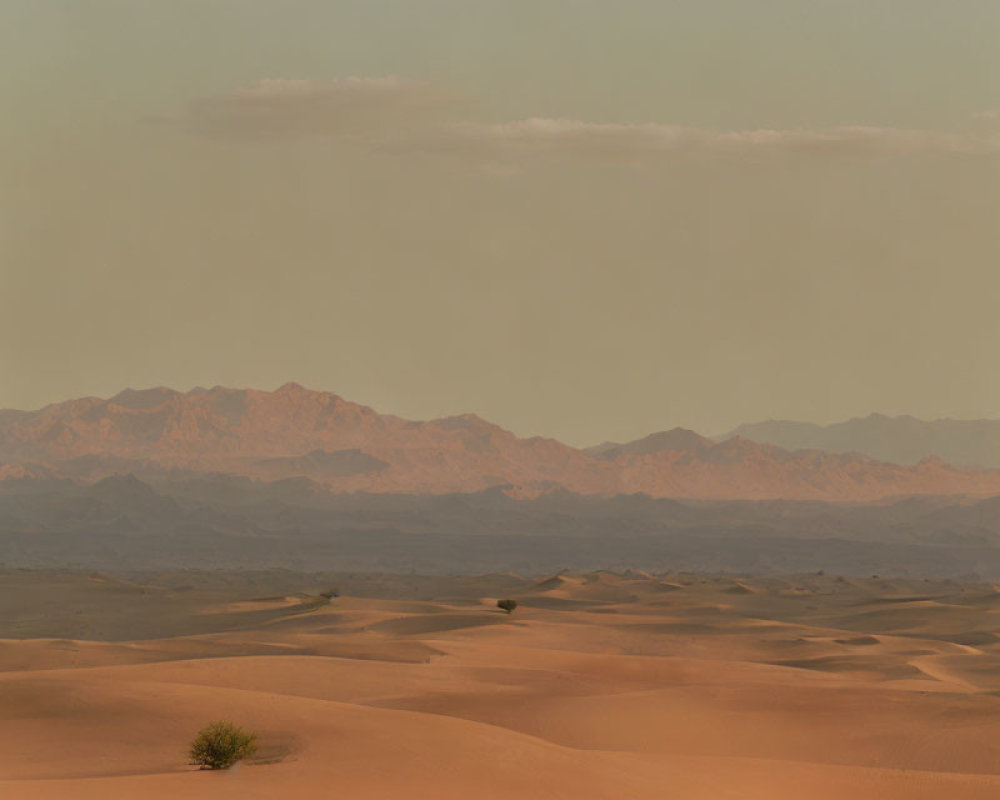 Tranquil desert landscape at dusk with sand dunes and distant mountains.