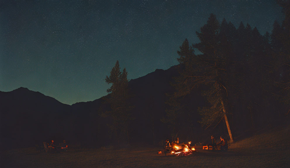 Group of People Sitting Around Campfire Under Starry Sky