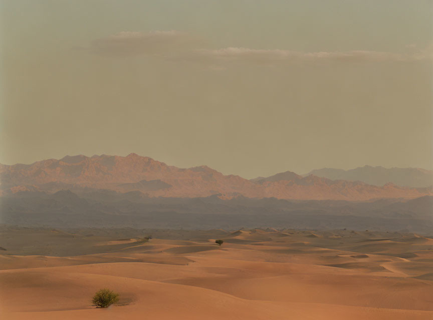 Tranquil desert landscape at dusk with sand dunes and distant mountains.