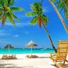 Tranquil Tropical Beach with Palm Trees and Yachts