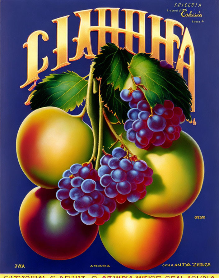 Vintage poster with vibrant plums and grapes and "ELHIMFA" text advertising fruit or brand