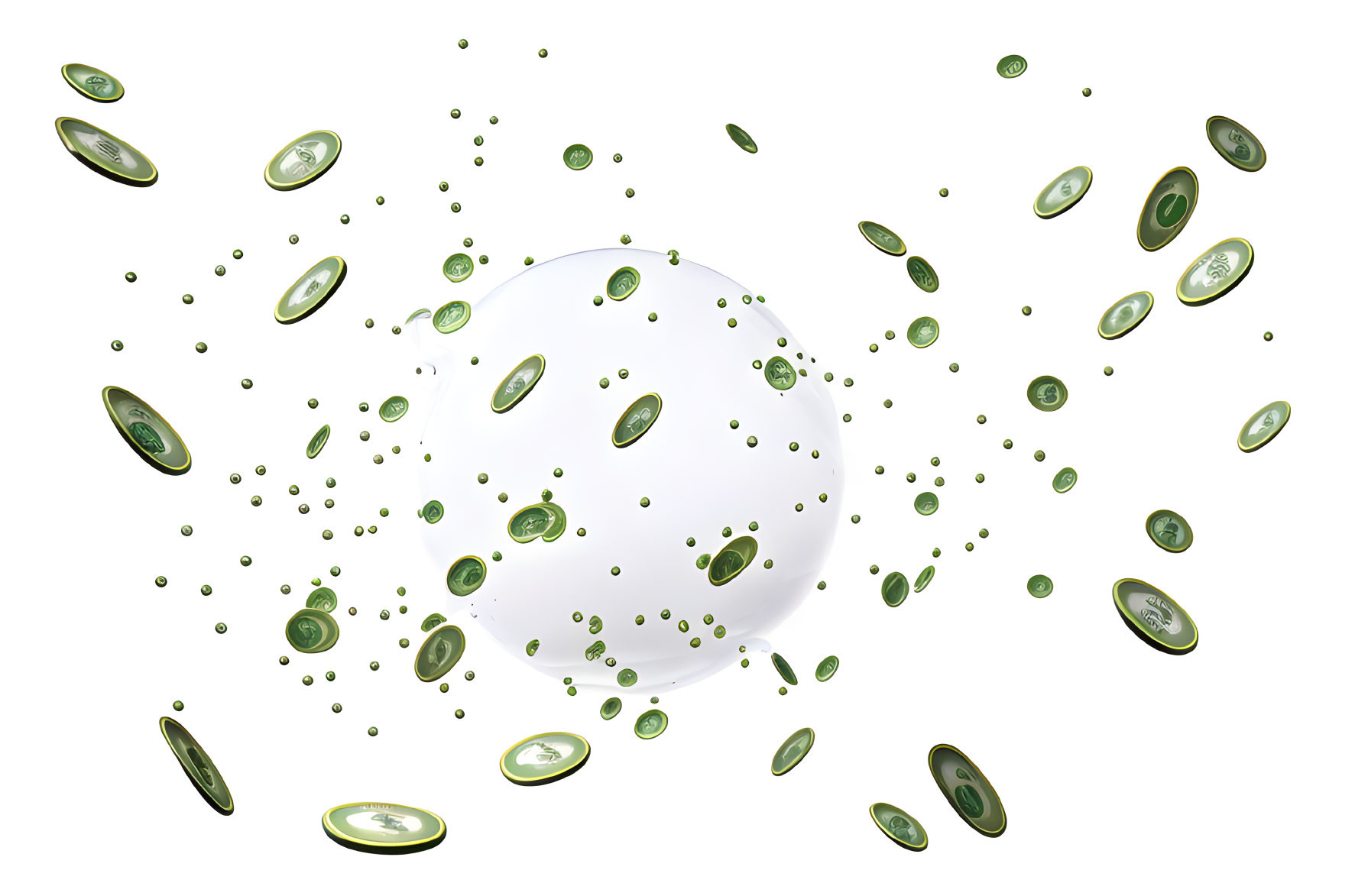 Kiwi Fruit Slices and Seeds Exploding on White Background