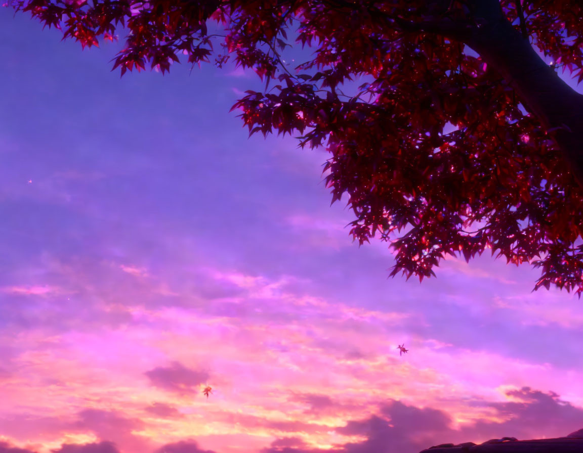 Colorful sunset sky with autumn leaves silhouettes.