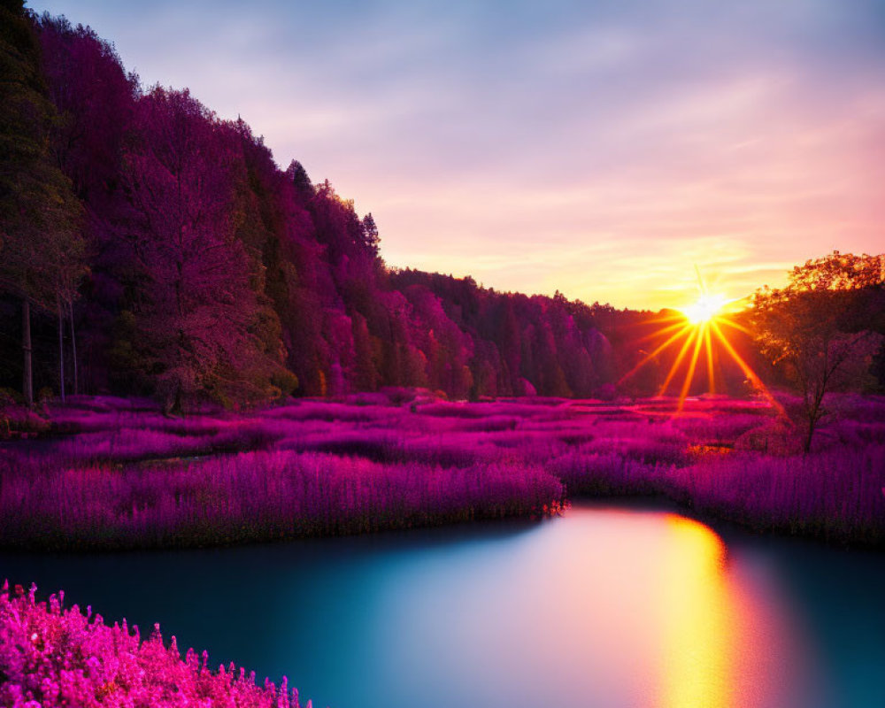 Serene lake at sunset with pink flowers and lush greenery