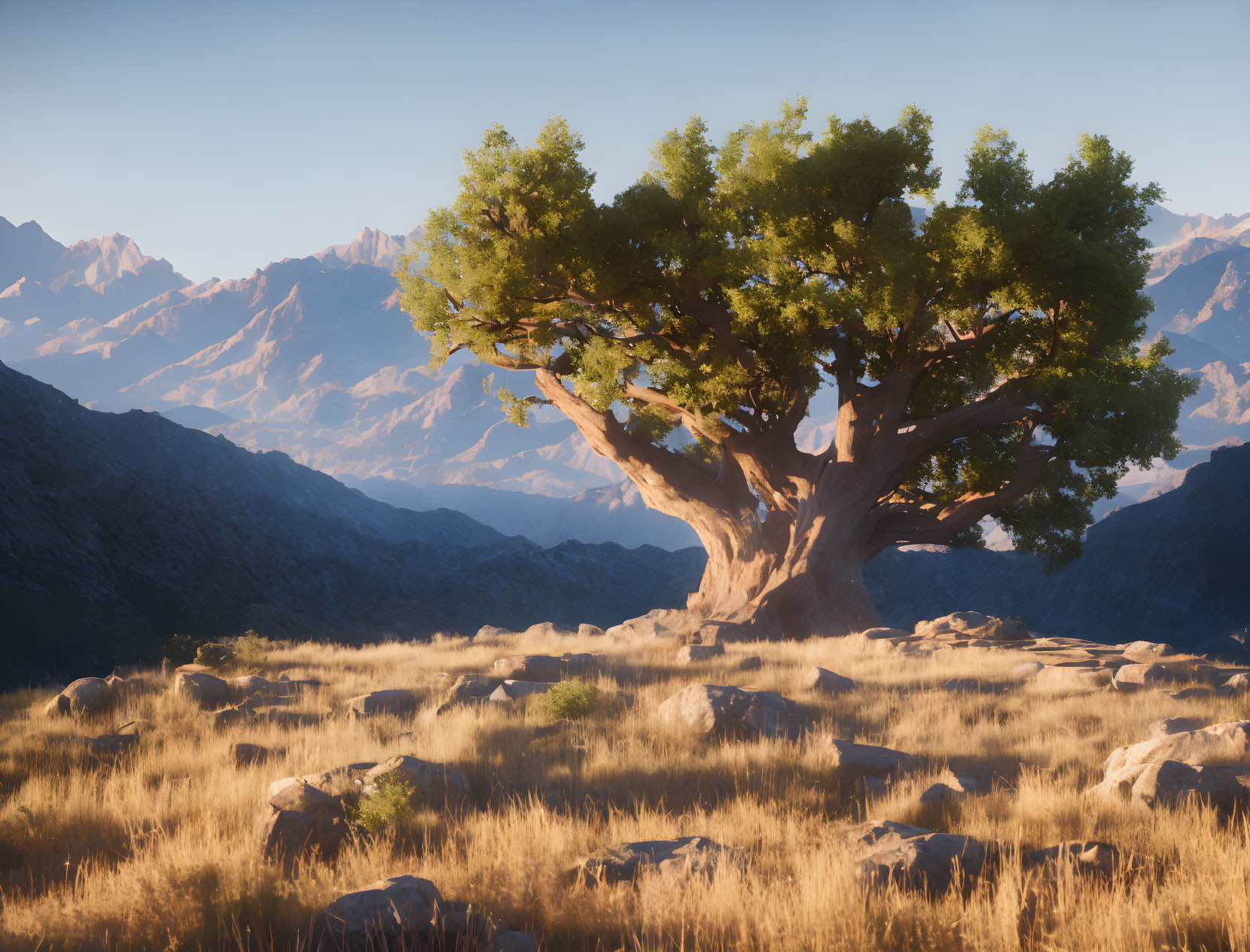 Majestic tree with lush canopy in rocky terrain and mountains under clear sky