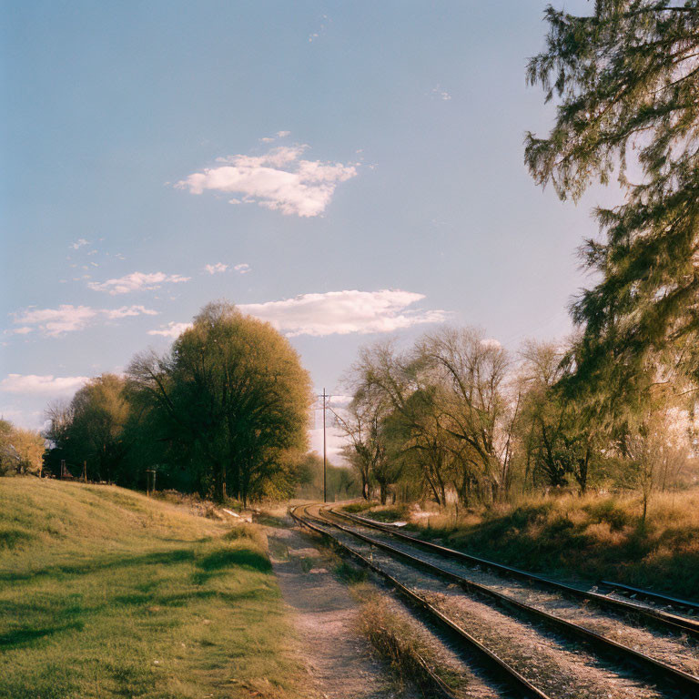 Tranquil countryside: Railroad tracks, lush trees, golden hour