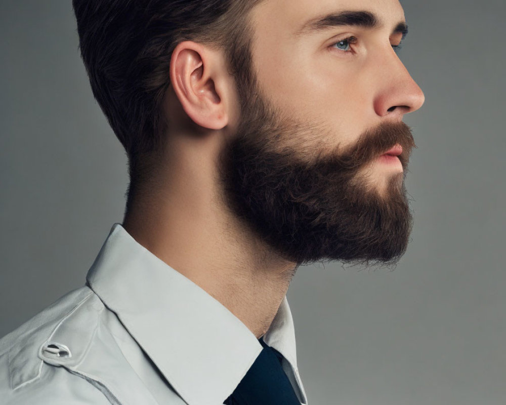 Man with Styled Beard and Mustache in White Shirt and Tie on Grey Background