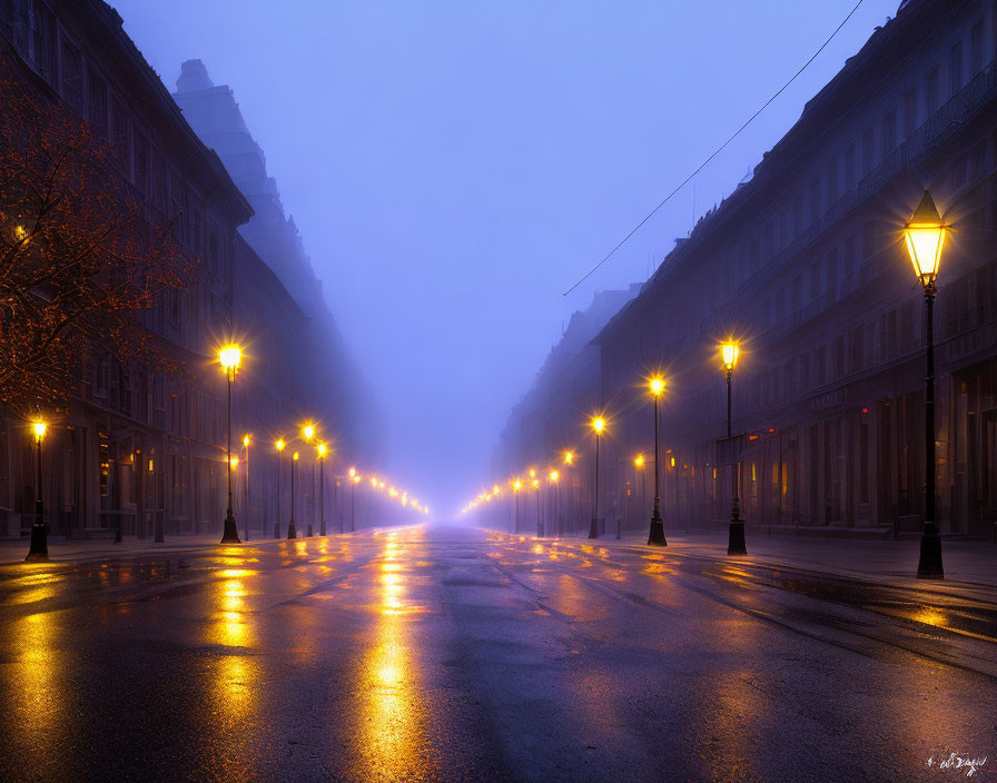 Deserted wet street at twilight with glowing lamps and foggy sky